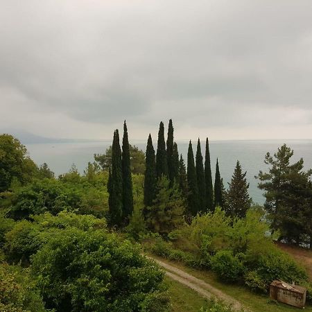 Гостевой Дом Мимоза Gagra Luaran gambar